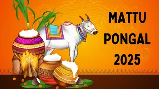 Mattu Pongal 2025: Date, Time, Significance And Rituals Of The Third Day Of Pongal