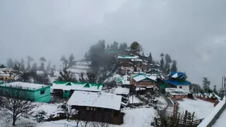 Weather Update: IMD Issues Yellow Alert For Dense Fog In Delhi-NCR, UP; Snowfall, Light Rain Expected In J-K, Himachal