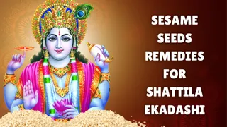 Shattila Ekadashi 2025: Follow THESE 6 Remedies Using Sesame Seeds Or Til On This Sacred Fast For Good Luck And Prosperity