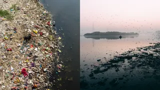 List Of Top 10 Most Polluted Rivers In India: Ganga, Yamuna, Ravi And More