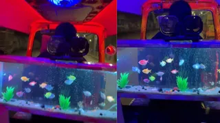 Pune Auto Driver Transforms Vehicle Into Neon Wonderland With Aquarium And Party Vibes | Viral Video