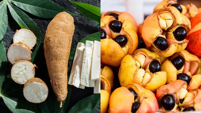 top-10-most-dangerous-foods-in-the-world-this-indian-delicacy-is-also-in-the-list
