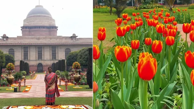 top-10-limited-time-activities-to-do-in-delhi-this-february-2025-ed-sheeran-concert-to-surajkund-mela-and-more