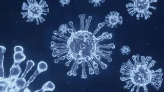 GBS Outbreak: Maharashtra Reports Two New Fatalities, Death Toll Rises To 21 In India