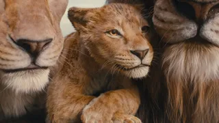 Mufasa The Lion King OTT Release: Blockbuster Drama Movie Is Now Streaming On THIS Platform