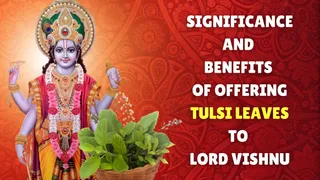Vijaya Ekadashi 2025: Why You Should Offer Tulsi Leaves To Lord Vishnu? Know Significance And Benefits