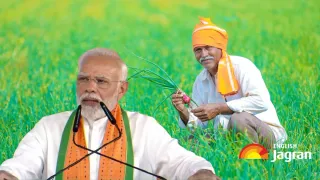 PM Kisan Samman Nidhi 19th Installment: Rs 2,000 Installment Not Received In Account? Here Are Steps To Follow For Swift Resolution