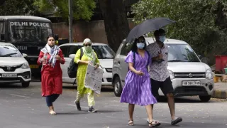 Delhi Records Warmest February In 74 Years as Minimum Temp Touches 19.5 Degrees, Will Heat Intensify In March? IMD Explains