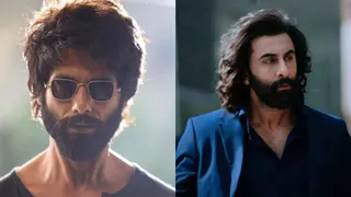 Kabir Singh’s Cameo In Animal? Sandeep Reddy Vanga Reveals Why He Decided Against It