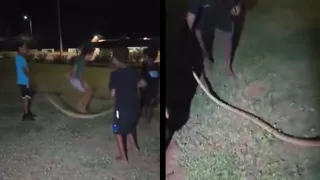'That’s The Most Australian Thing’: Video Of Kids Using Dead Python Snake As Skipping Rope Goes Viral; Internet Divided