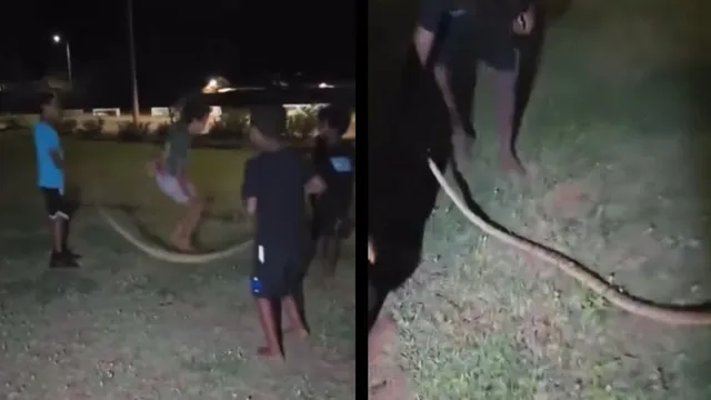 thats-the-most-australian-thing-video-of-kids-using-dead-python-snake-as-skipping-rope-goes-viral-internet-divided