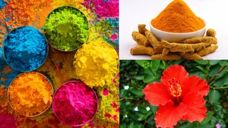 Top 10 Natural Plants To Make Organic Herbal Colours For Holi 2025: Turmeric, Beetroot, Marigold And More