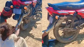 Fearless Girl Tries To Pull Out Snake From Bike With Bare Hands; Viral Video Shocks Internet