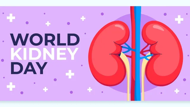 world-kidney-day-2025-secrets-to-a-healthy-kidney-a-comprehensive-guide-to-lifelong-renal-health