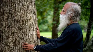 Sadhguru’s ‘Miracle Of Mind’ Meditation App Breaks Records: 1.9 Million+ Downloads, Faster Growth Than ChatGPT