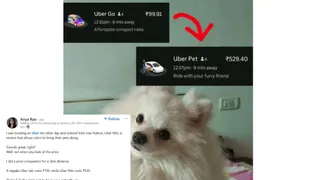 Uber Pets: Necessity or Luxury? Gurugram Woman Questions Cab Fare 5 Times The Normal