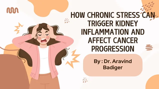 how-chronic-stress-can-trigger-kidney-inflammation-and-affect-cancer-progression-insights-from-an-expert