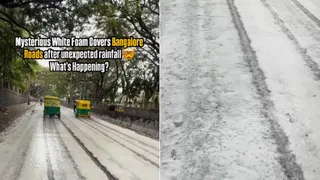 Why Is Bangalore Covered In White Foam After Rain? Viral Video Sparks Curiosity | Watch