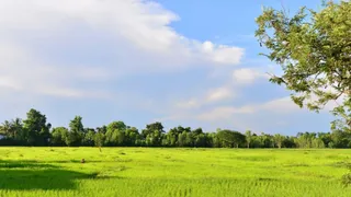Land Purchase Loan: How To Buy Land In India; Check Eligibility, Interest Rates, And More | Explained