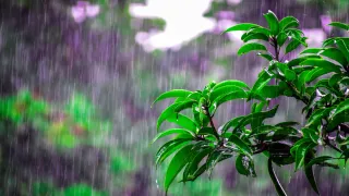 Chennai Records Highest Temp This Year; Tamil Nadu To Receive Rain In First Week Of April | Check IMD Forecast
