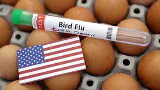 egg-prices-at-all-time-high-in-us-due-to-bird-flu-america-turns-to-europe-for-relief-as-consumers-struggle