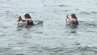 Brave Woman Jumps Into Water To Rescue Drowning Kitten In Viral Video: 'She Is An Angel!'