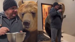 'Can We Pet That Dawg?’: Video Of Man Feeding Massive Bear With Spoon Sparks Hilarious Reactions