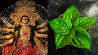 Chaitra Navratri 2025: Perform These 4 Remedies Using Paan Patta Or Betel Leaf To Please Goddess Durga For Success And Luck