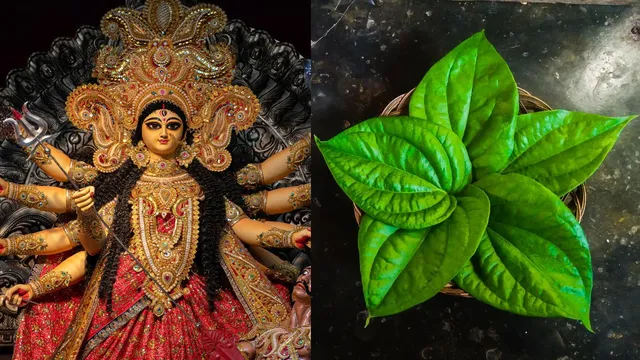 chaitra-navratri-2025-perform-these-4-remedies-using-paan-patta-or-betel-leaf-to-please-goddess-durga-for-success-and-luck