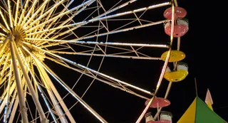 Sonpur Mela 2025: Govt Approves Rs 24.29 Crore Under Swadesh Darshan 2.0 Scheme, Plans Cashless Facilities And Virtual Darshan
