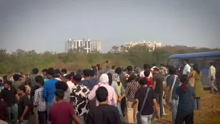 Hyderabad: Supreme Court Stays Deforestation Drive In Kancha Gachibowli Amid Massive Students' Protest