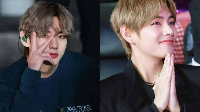bts-v-times-when-kim-taehyung-floored-army-with-his-most-beautiful-hands-photos-and-video