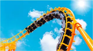 Deadly Roller Coaster: Woman Dies After Falling From Ride In Delhi's Amusement Park, Probe Underway
