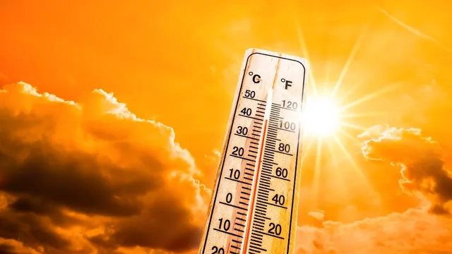 weather-news-bengal-gujarat-up-other-states-brace-for-intense-heatwave-in-coming-days-imd-issues-alert