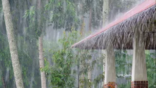 Bengaluru Weather: IMD Forecasts Light Rains And Cooler Nights Till April 13 Amid Heatwave Across India
