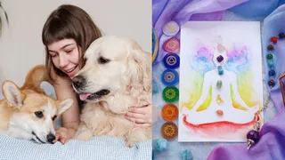Can Petting A Dog Help Balance Your Body Chakras And Energy? Know Via Spiritual Insight