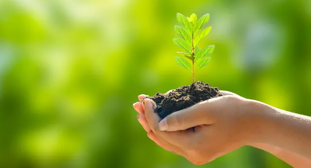 up-students-to-raise-environmental-awareness-organise-eco-exhibitions-quizzes-and-tree-plantations-against-plastic-pollution
