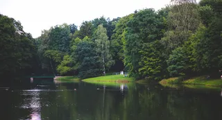 Bihar Tourism: 600 Ponds And Lakes Across Districts To Be Developed As Tourist Attractions