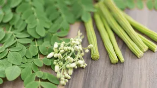 Drumstick Benefits: 7 Powerful Reasons To Include Moringa This Summer
