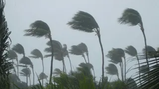 Weather Update: IMD Issues Storm Alert For UP, Bengal; Light Rain Likely In Delhi-NCR | Check Forecast