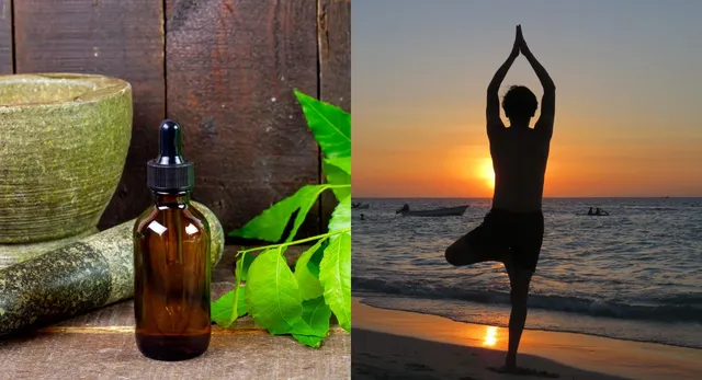 up-aims-to-lead-health-tourism-boosts-traditional-medicine-infrastructure-with-ayurveda-ayush-expansion-and-yoga