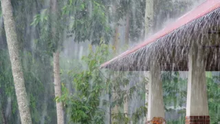 Telangana Weather Update: IMD Issues Yellow Alert For Rain, Thunderstorms In 8 Districts; Showers In Hyderabad By Weekend
