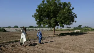 'We Will Die of Hunger': Pakistan Turning Into Desert Without Indus Water? Here’s Shocking Reality