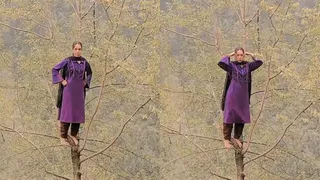 Viral Video: Kashmiri Woman’s Daring Dance Moves On Jhalla Wallah On Top Of Tree Leaves Internet Shocked And Amazed