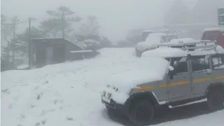 Sandakphu Snowfall: West Bengal's Highest Mountain Peak Receives May's First Snowfall | Watch