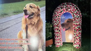 Anant Ambani’s Beloved Dog Happy Passes Away, Family Remembers Him With Heartfelt Note: ‘Heaven’s Gain Is Our Loss’