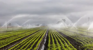 Bihar Govt Offers Subsidised Irrigation Power, Facilitates Easy Access via Suvidha App In Bhabua | Details