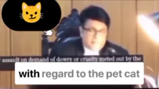 Wife Files Case Against Husband For Loving Pet Cat More Than Her, Says She Feels Ignored | Viral Video