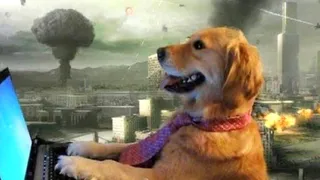 'Pakistanis Are Good At Memes But Not At Wars': India-Pak War Memes Take Over Internet After Operation Sindoor