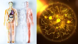 Which Body Part Does Your Zodiac Sign Rule? Know Astrological Connection Between Your Body And Rashi